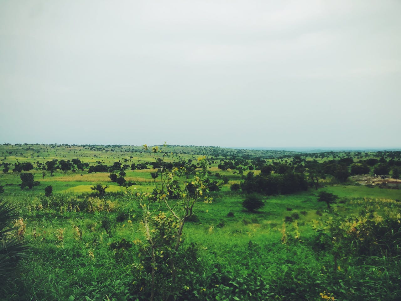 Home Processed with VSCO with f2 preset